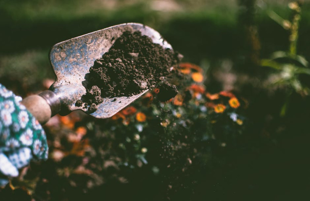 Alles wat je moet weten over tuinrenovatie