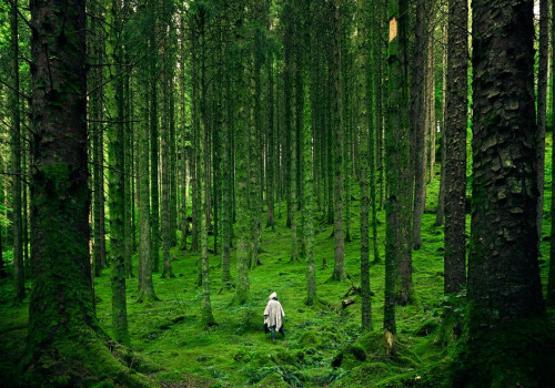 Duitse campings omringd door natuur? Ga naar Saarbrücken!