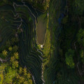 Wat maakt de natuur op Bali zo uniek?