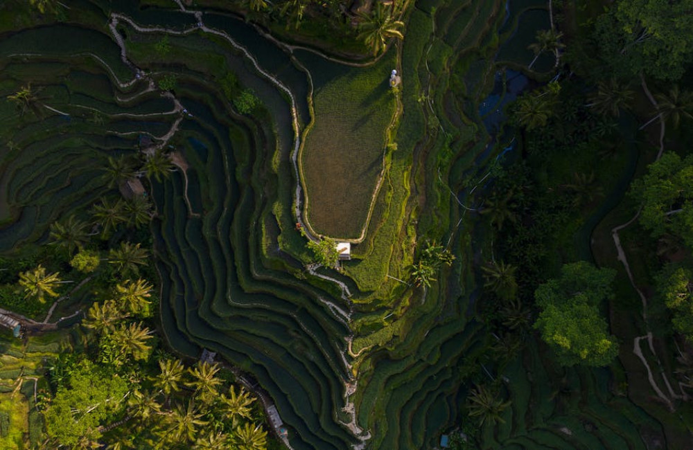 Wat maakt de natuur op Bali zo uniek?